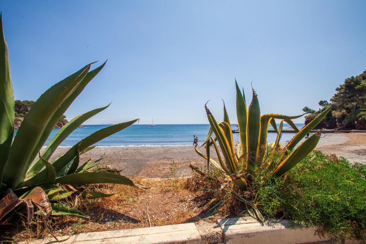 T2 - La Seyne Sur Mer - Fabregas Екстер'єр фото